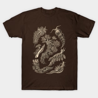 Ernst Haeckel Nudibranchia Sea Slug Wenge T-Shirt